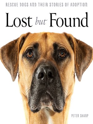 cover image of Lost But Found